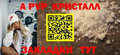 шишки Сланцы