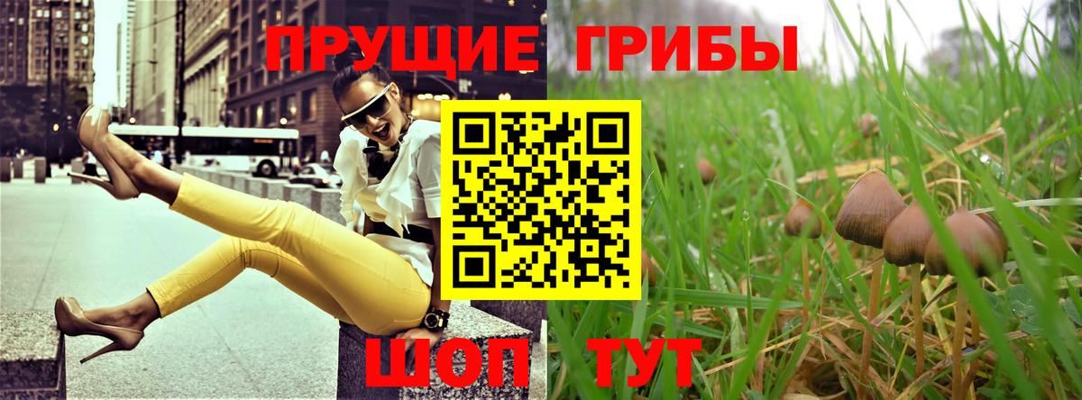 Галлюциногенные грибы MAGIC MUSHROOMS Новодвинск